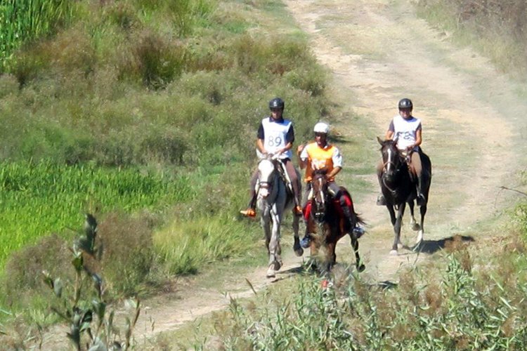 Rio Frio está no calendário dos grandes eventos equestres