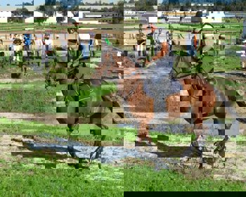 GNR organizou CCE em Rio Frio