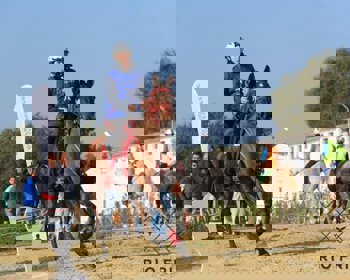 Rio Frio destaca-se no endurance europeu