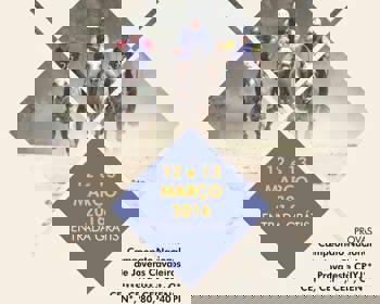 Rio Frio acolhe campeonato nacional de jovens cavaleiros