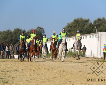 Rio Frio organiza primeiro campeonato europeu de endurance para jovens cavaleiros e juniores em Portugal